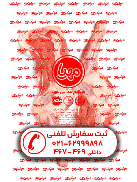 سردست با استخوان گوسفندی